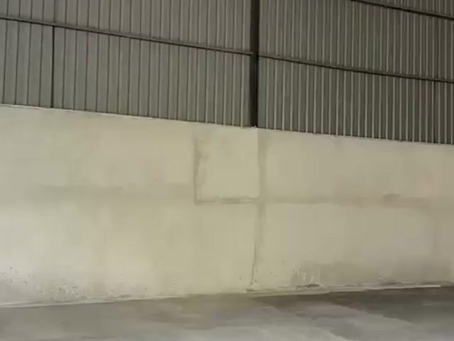 Video Image 1