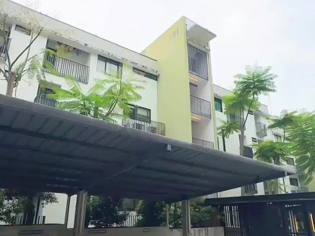 Video Image 1