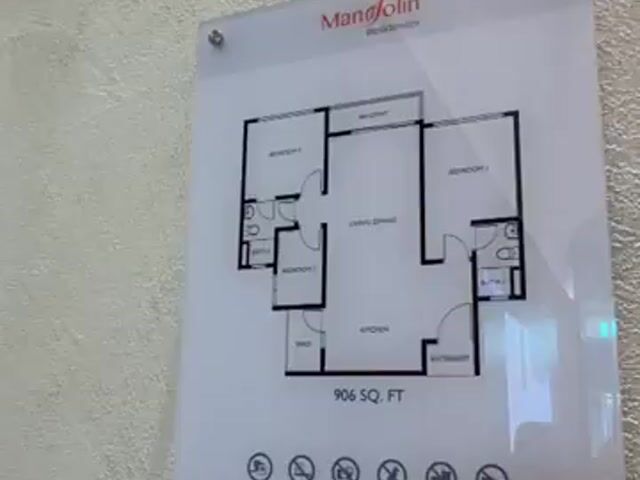Video Image 1