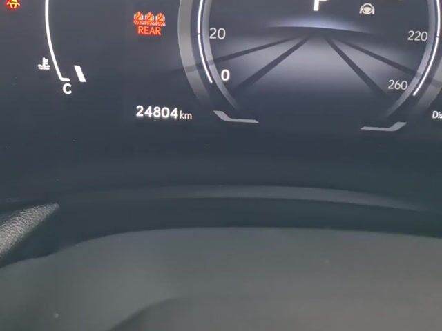 2023 Lexus NX250 Luxury Grade 5 Hud 360 Cam Unreg  - 1