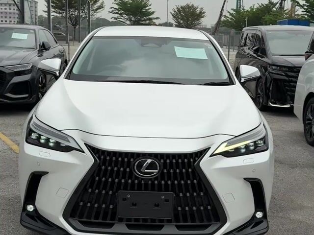 Ready Stock..2023 NX250 Version L, Black Seat 5A - 1