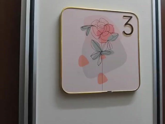 Video Image 1