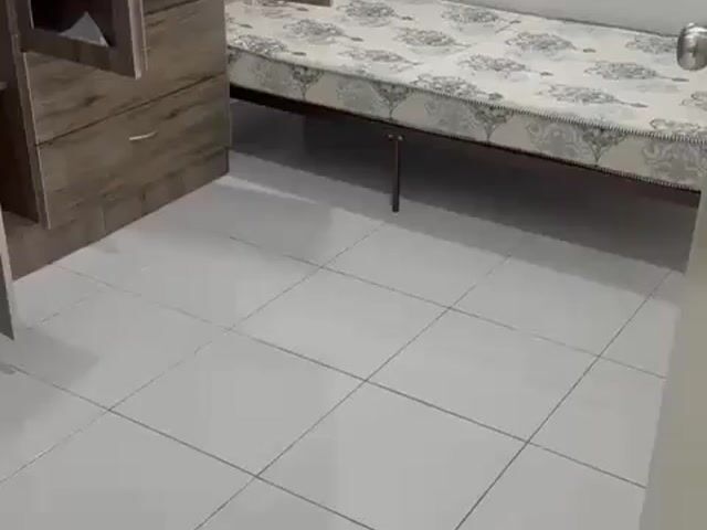 Video Image 1