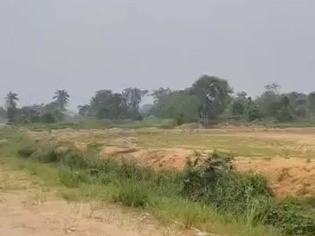 Video Image 1
