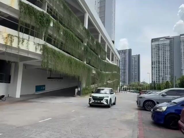 Video Image 1