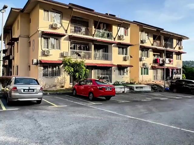 Video Image 1