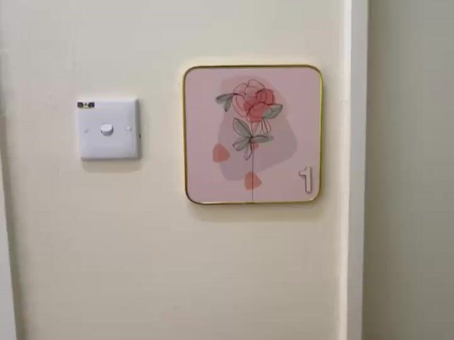 Video Image 1