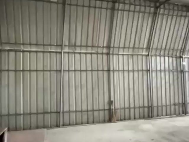 Video Image 1