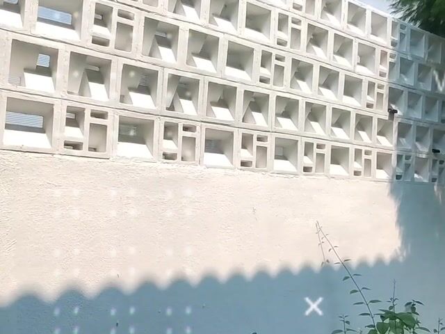 Video Image 1