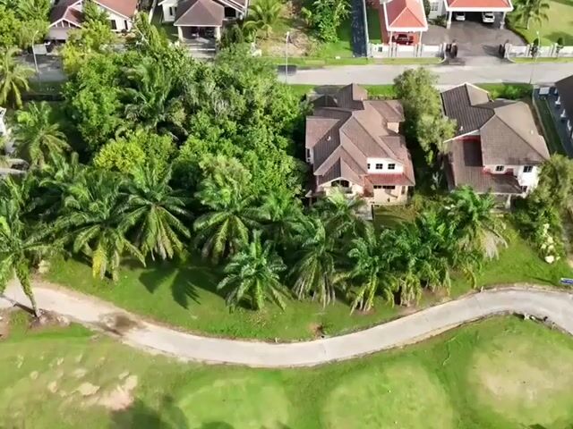 Video Image 1