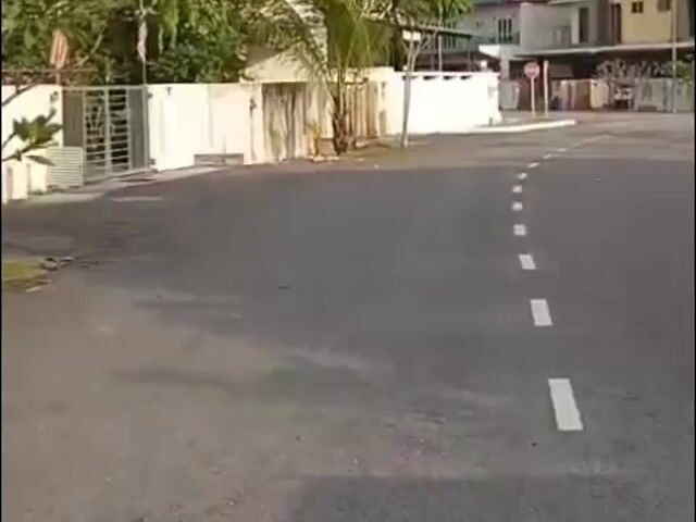 Video Image 1