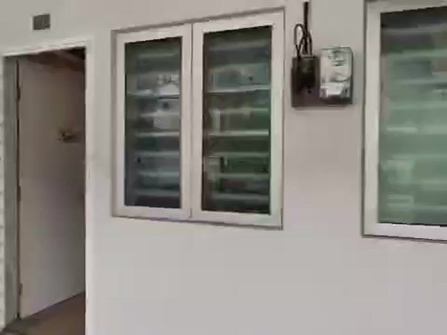 Video Image 1