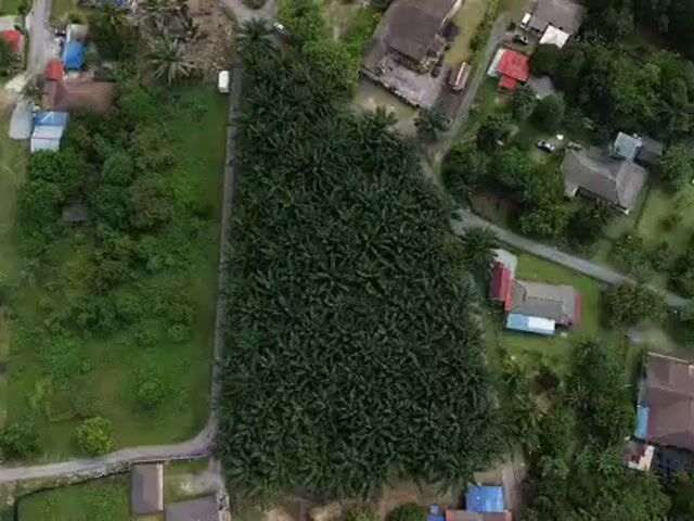 Video Image 1