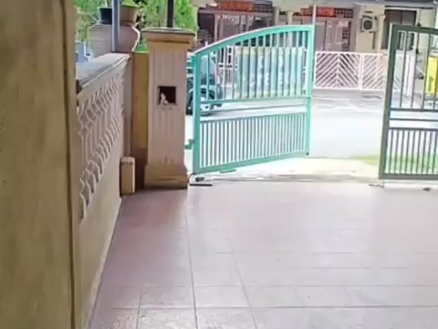Video Image 1