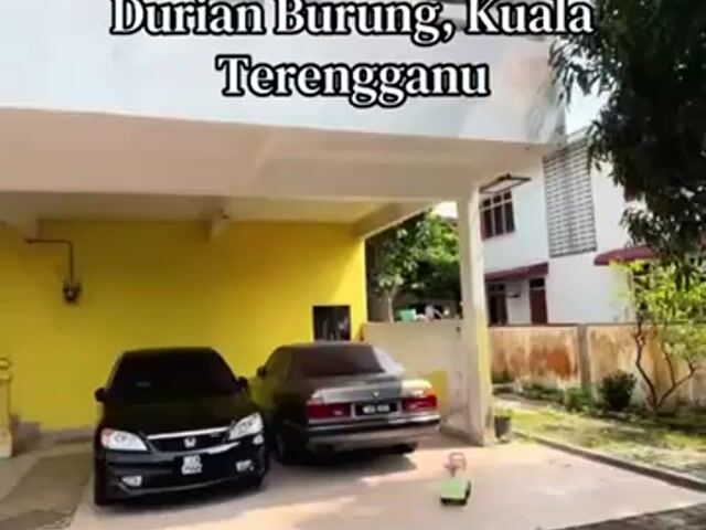 Video Image 1