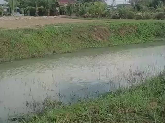 Video Image 1