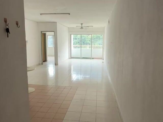 Video Image 1