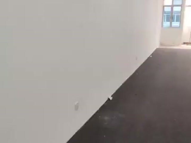 Video Image 1