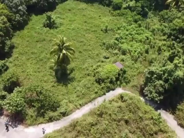 Video Image 1