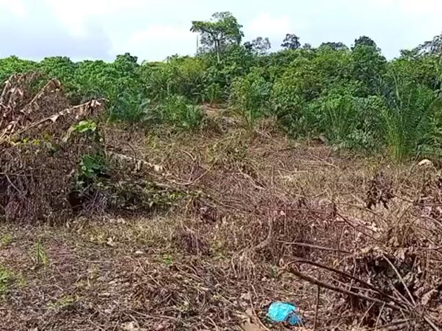 Video Image 1