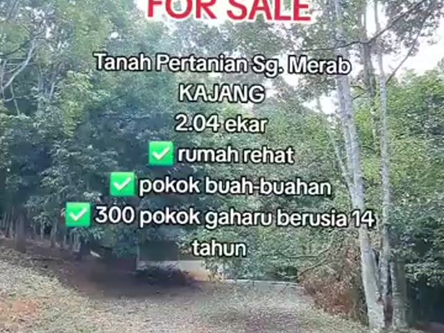 Video Image 1