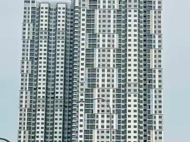 Video Image 1
