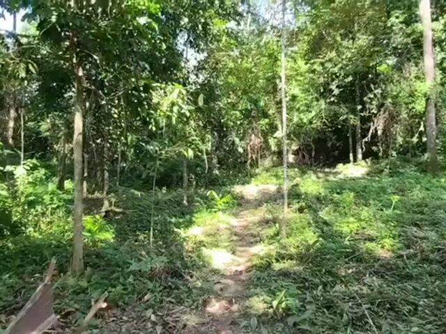 Video Image 1