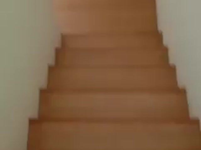 Video Image 1