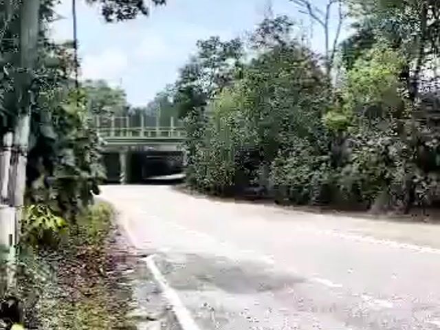 Video Image 1