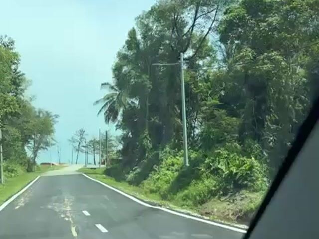 Video Image 1