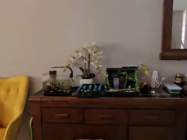 Video Image 1