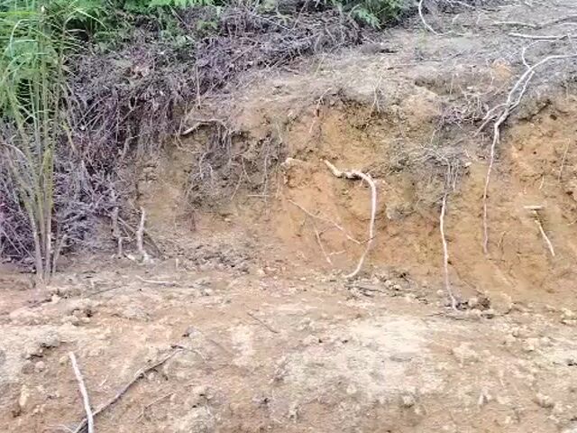 Video Image 1