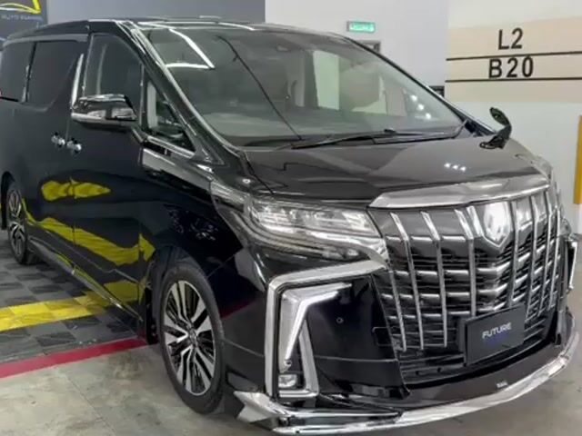 Toyota ALPHARD 2.5 SC / MODELLISTA / DIM BSM / MPV - 1