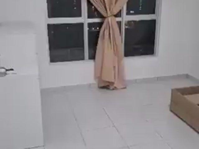 Video Image 1