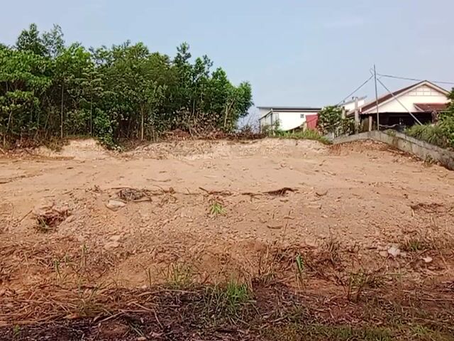Video Image 1