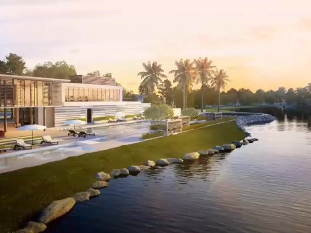 Video Image 1