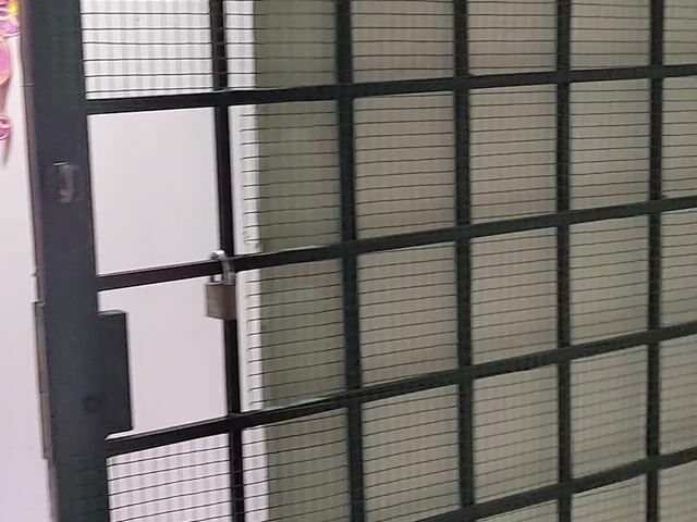 Video Image 1