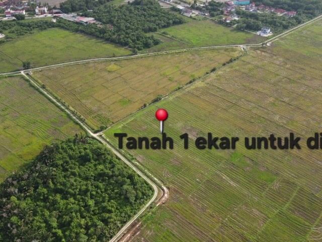 Video Image 1