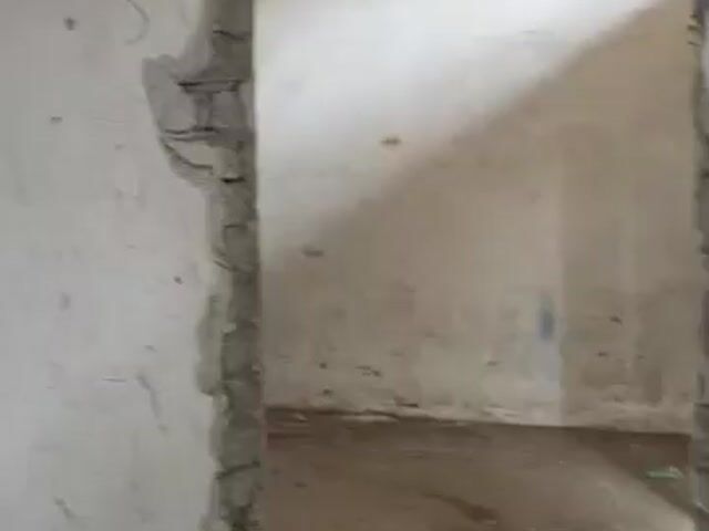 Video Image 1