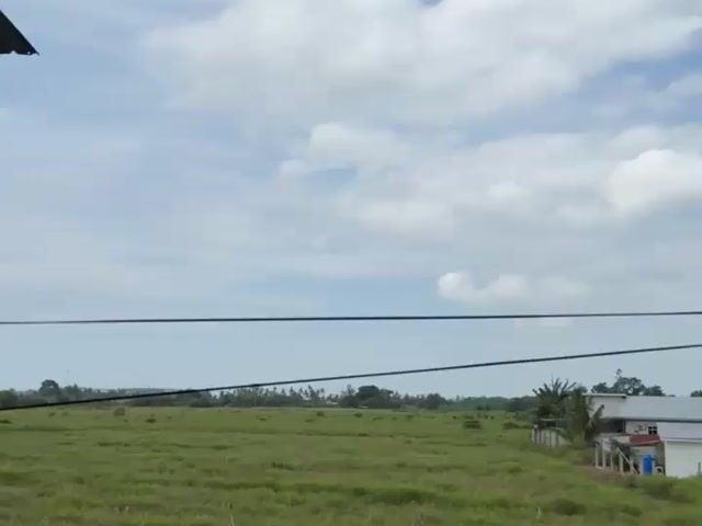 Video Image 1