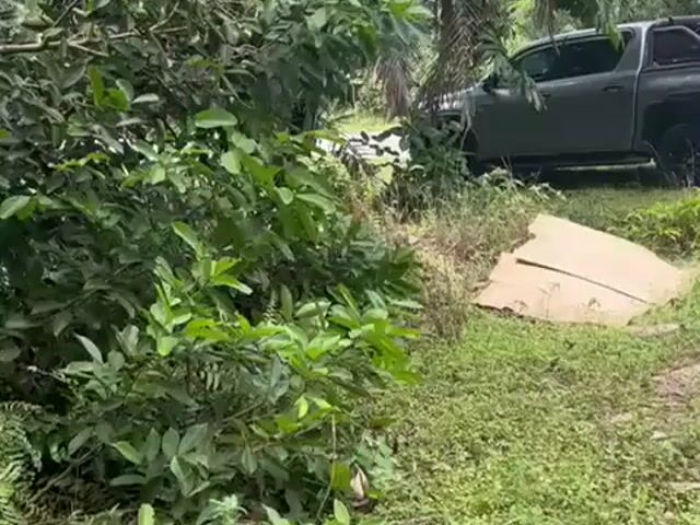 Video Image 1