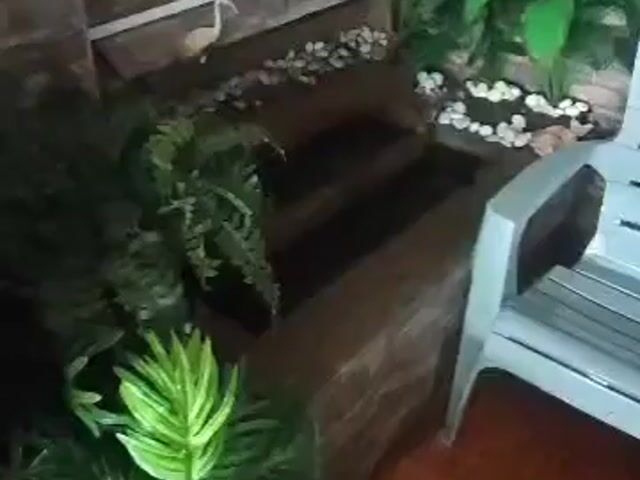 Video Image 1