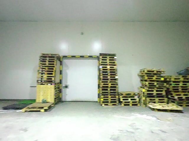 Video Image 1