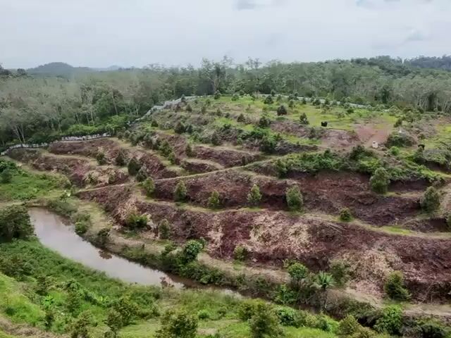 Video Image 1