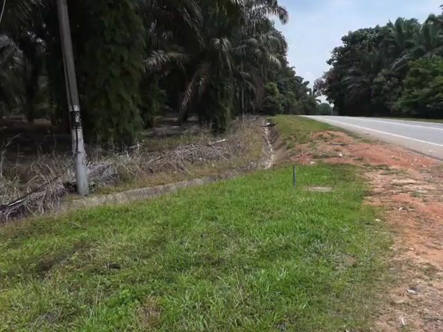 Video Image 1