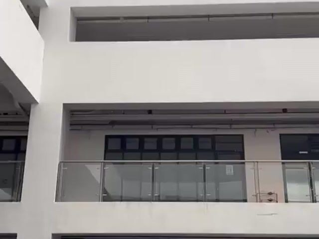 Video Image 1