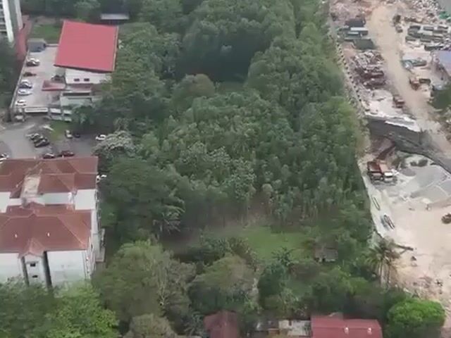 Video Image 1