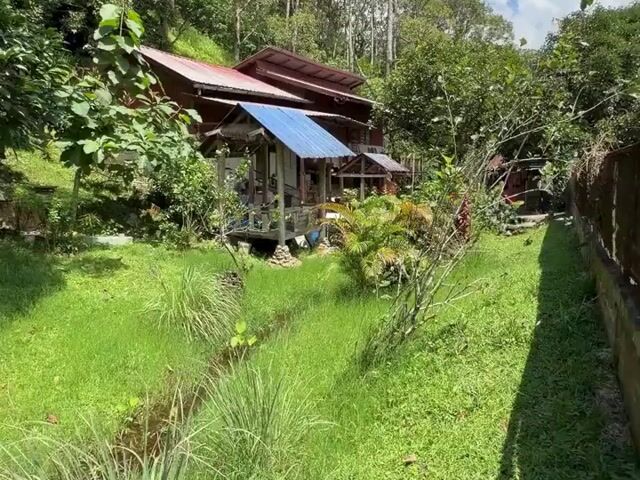 Video Image 1
