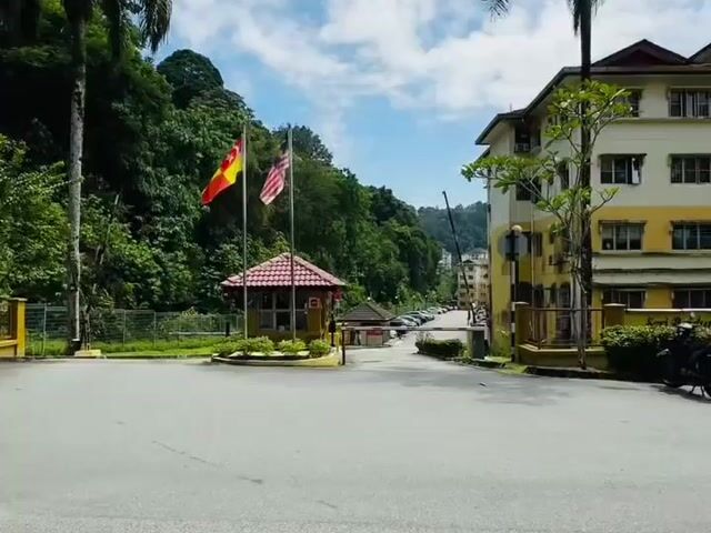 Video Image 1