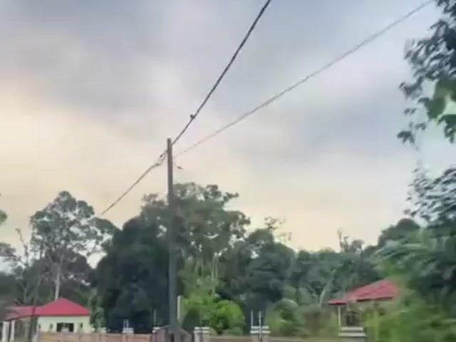 Video Image 1